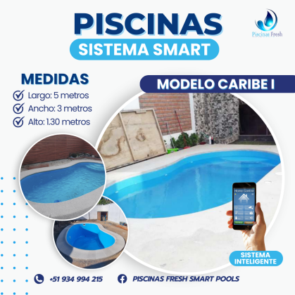 Piscinas Piscinas modernas Piscinas con pepelma Piscinas para casas Piscinas para terrazas  Piscinas para patios pequeños  piscinas para patios pequeñ